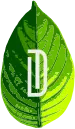 logo leaf