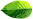 leaf horizontal